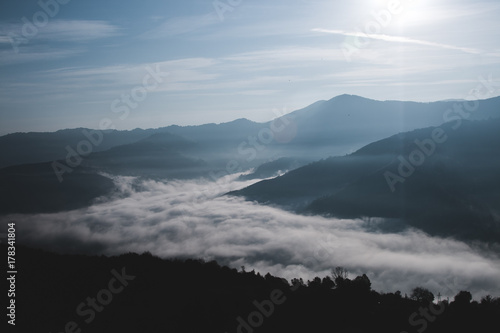 Beautiful Advection Fog Landscape in Carpathian Mt.