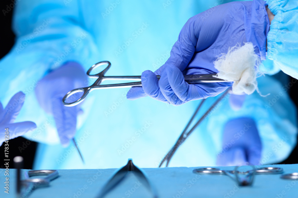 Surgeons hands holding surgical scissors and passing surgical equipment, close-up. Health care and veterinary concept Surgeons hands holding surgical scissors and passing surgical equipment, close-up. Health care and veterinary concept