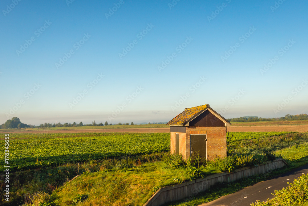Small electricity substation in early morning sunlight
