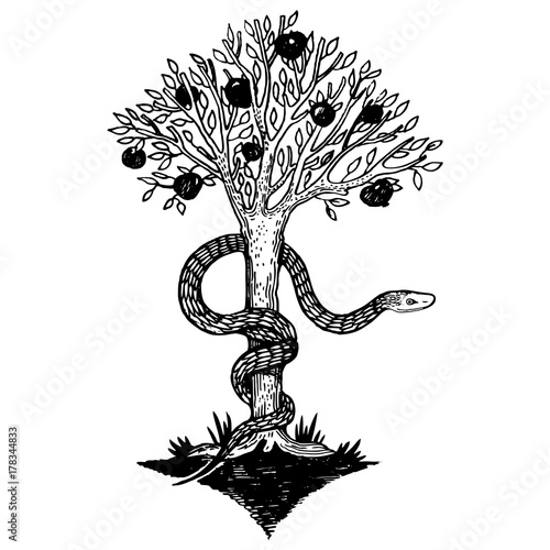 Canvas Print Snake and tree of life engraving vector