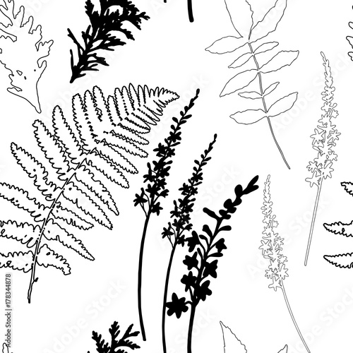 Floral vector seamless pattern with wild flowers, fern leaves and evergreen p...
