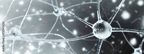 neuron close-up, nerve node, neural network close-up, banner
 photo