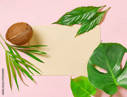 tropical leaves and coconut photo