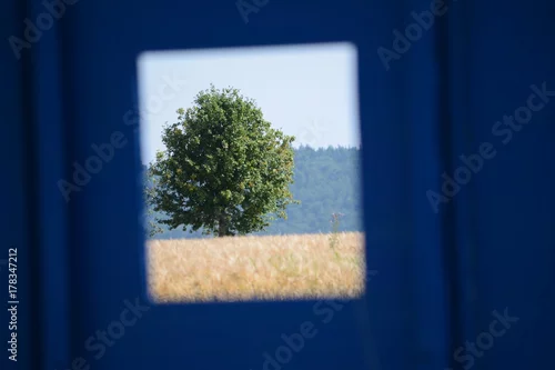 Fototapeta Drzewo widziane przez otwór pojemnika