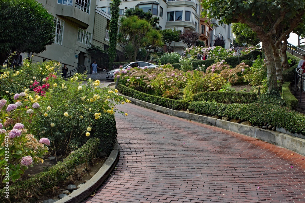 Lombard Street - San Francisco 