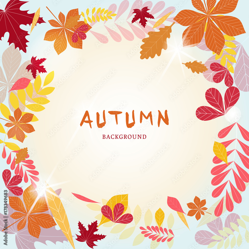 Autumn background. Color autumn leaves and blue sky background. Autumn background. Color autumn leaves and blue sky background.