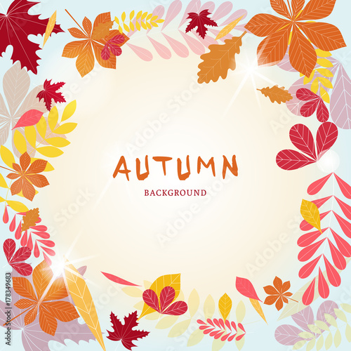 Autumn background. Color autumn leaves and blue sky background.
