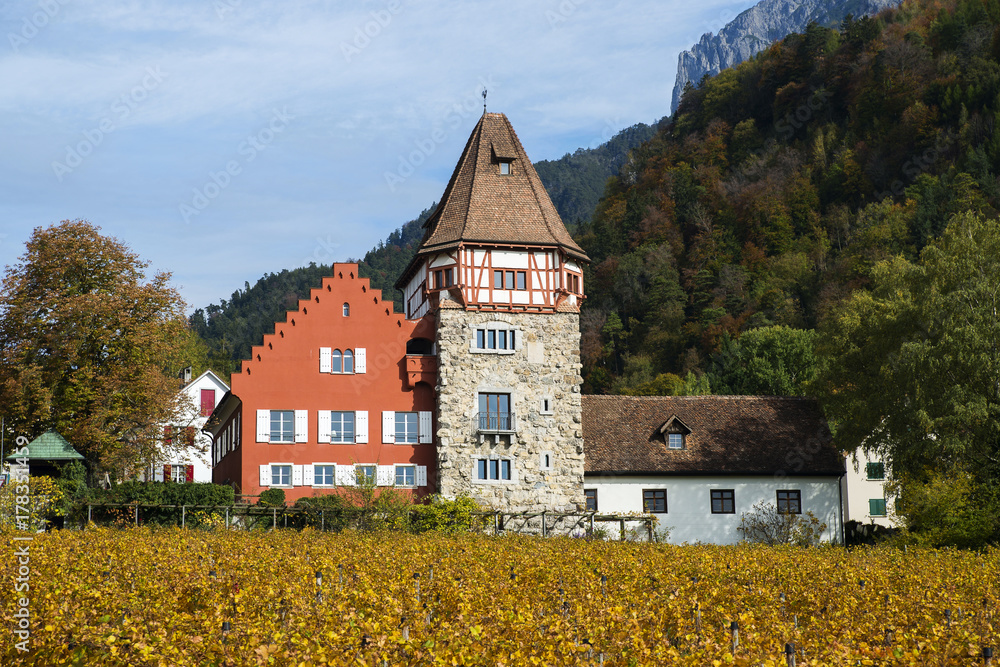 Lovely red house surrounded by vineyards in the Alps