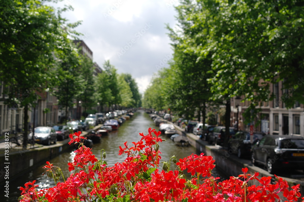 Fototapeta premium Canales de Amsterdam