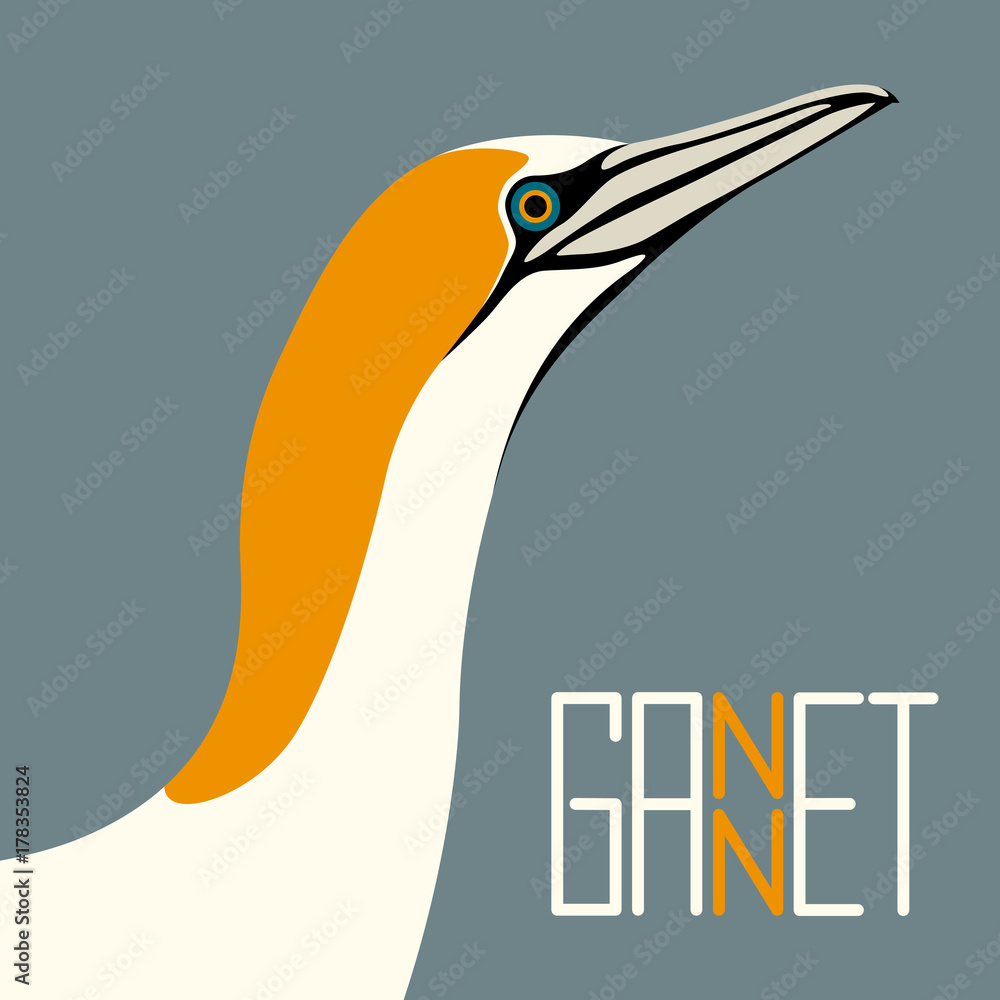 Naklejka premium gannet bird vector illustration flat style profile side