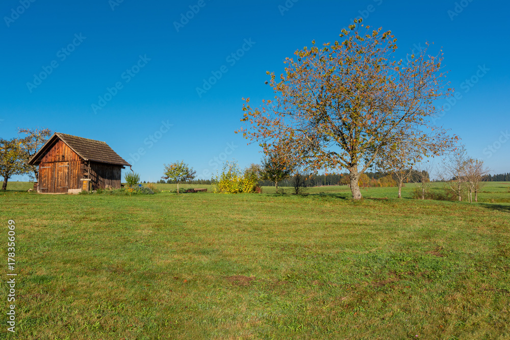 Autumn landscape - Black Forest. A garden hut on a field in the early morning. Autumn landscape - Black Forest. A garden hut on a field in the early morning.