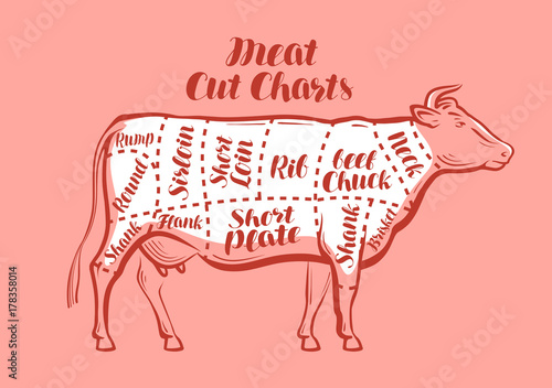 Cow, beef, meat cuts. Scheme or diagrams for butcher shop. Vector illustration