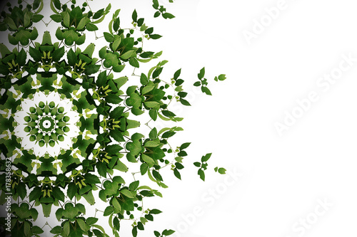 Abstract green background, wild climbing vine liana plant with kaleidoscope effect on white background.