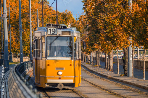 Budapest, Hungary - Autumn foliage with traditional yellow tram on the move at the riverside of Buda in the morning