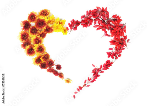 Shape of the Heart from Chrysanthemums and Red fruits of Barberry