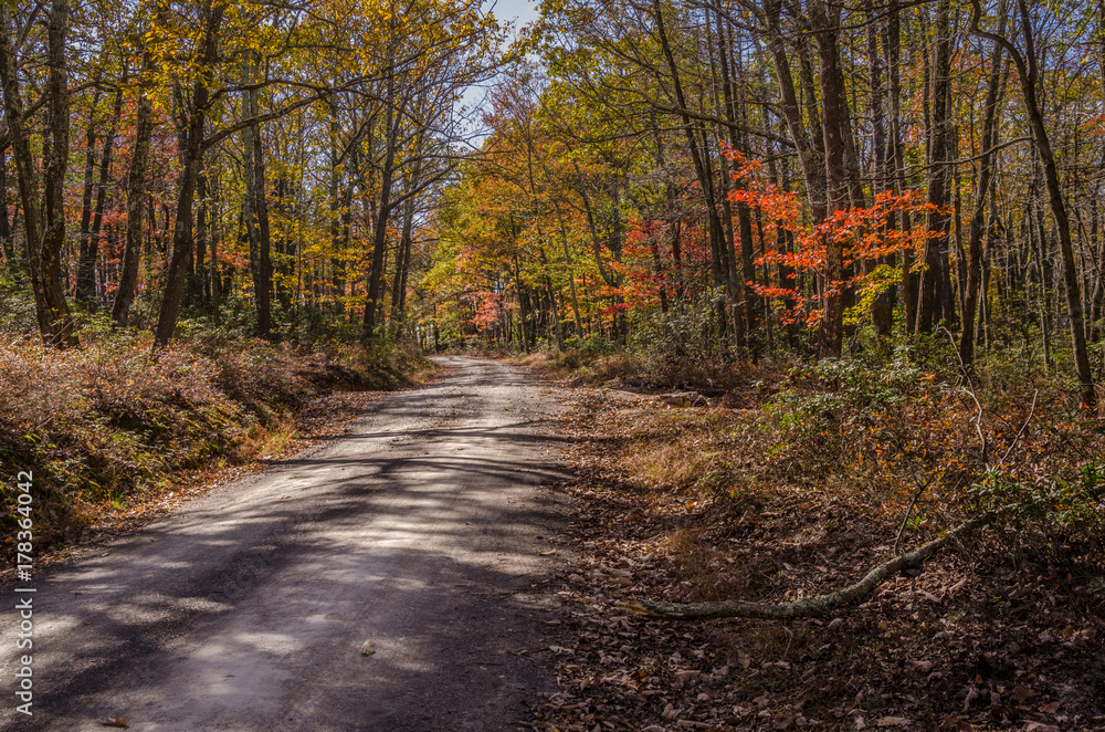 Fototapeta premium Mountain Road