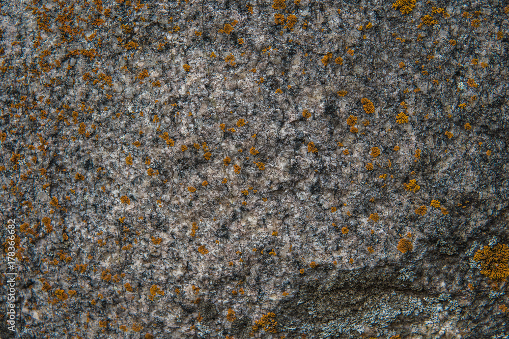 Stone texture. Pattern texture of nature. Seamless stone texture Stone texture. Pattern texture of nature. Seamless stone texture