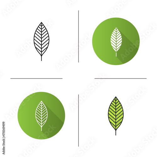 Walnut leaf icon