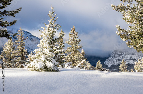 Snowy Mountain Landscape on a Winter Day. Banff National Park, AB, Canada.