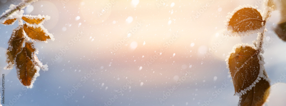 Fototapeta premium Abstract Christmas background