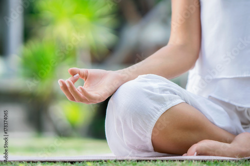 Wallpaper Mural Lotus Torontodigital.ca