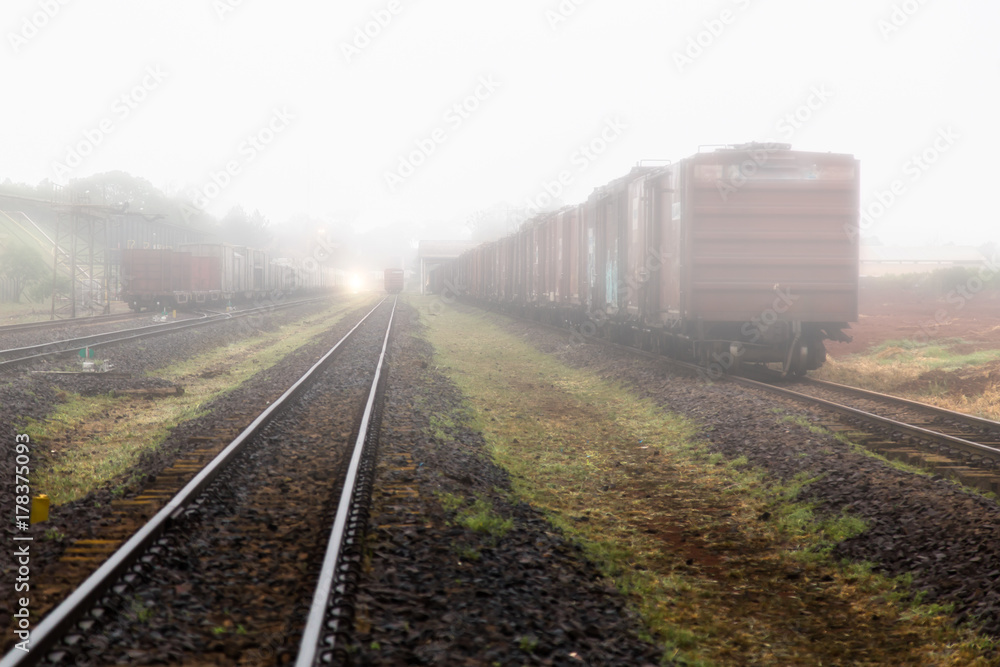 Fototapeta premium railway line and trains in a misty morning