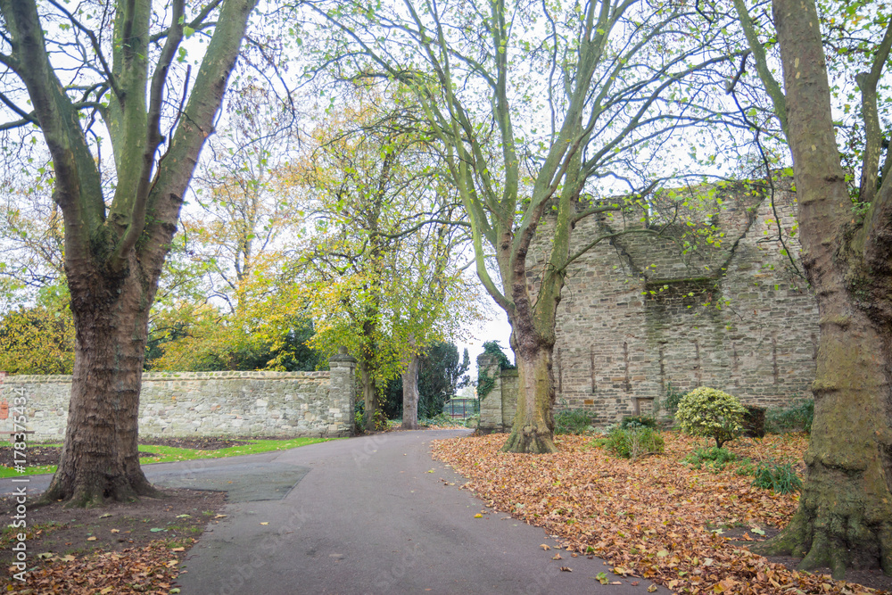 Autumn time in a park with lush foliage Autumn time in a park with lush foliage