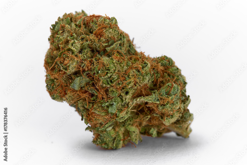 Close up of prescription medical marijuana flower Space Cowboy hybrid strain sativa dominant Close up of prescription medical marijuana flower Space Cowboy hybrid strain sativa dominant
