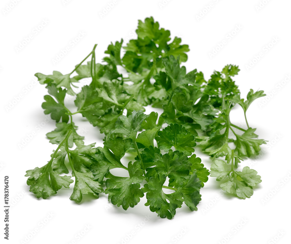 Obraz premium Parsley