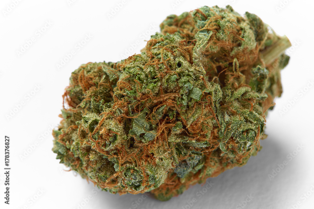 Close up of prescription medical marijuana flower Space Cowboy hybrid strain sativa dominant Close up of prescription medical marijuana flower Space Cowboy hybrid strain sativa dominant