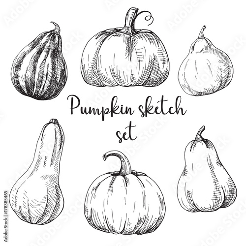 Hand drawn pumpkin set isolated on white background. Vector illustration of a sketch style.