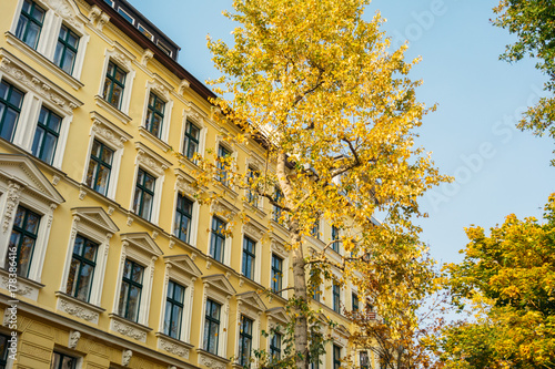 yellow apartment house in fall with beautiful tree