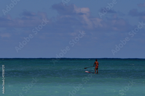 Hawaii Stand Up Paddle © David