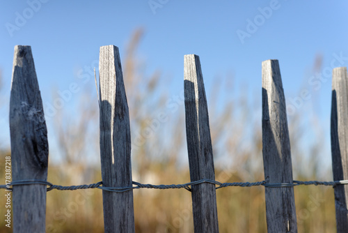 clôture bois (ganivelle)
