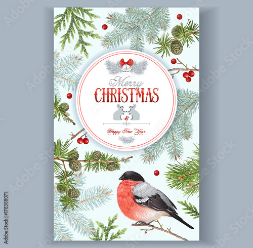 Christmas bullfinch frame