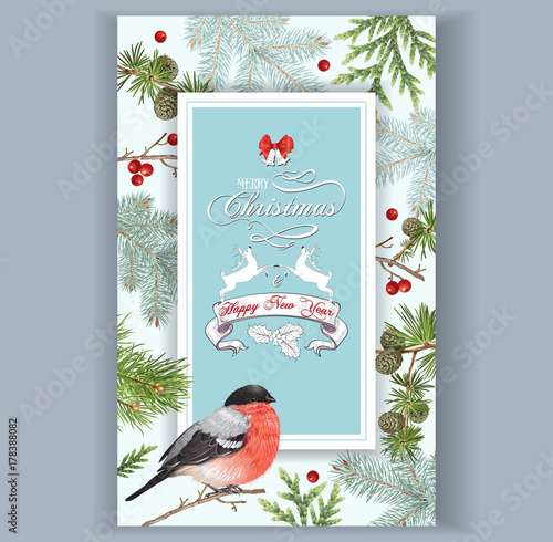 Christmas bullfinch frame