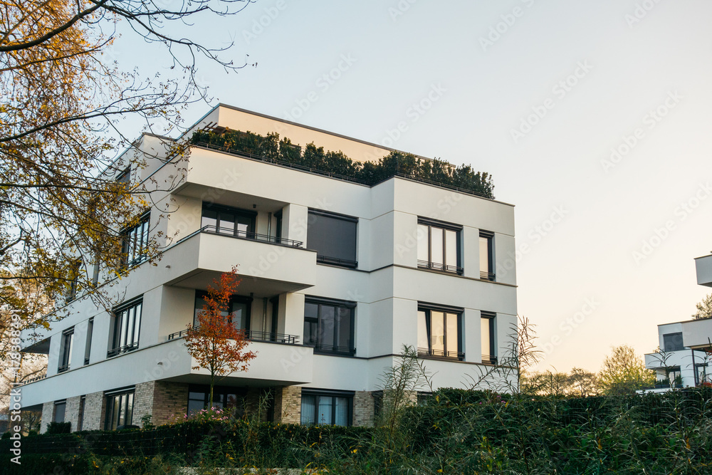 apartment house framed by green bush and tree