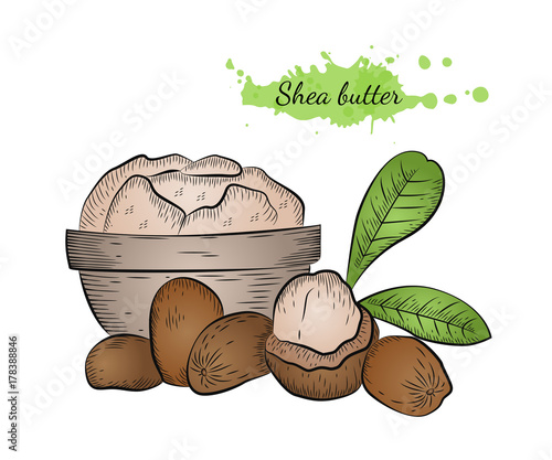 Isolated hand drawn vector illustration