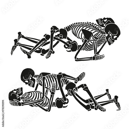 Human skeleton kamasutra set. Vector illustration.