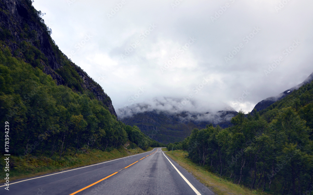 Naklejka premium Empty road in Norway on a clouded summer day