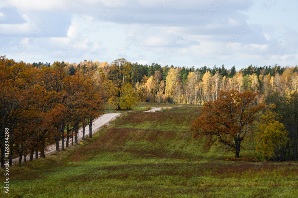 countryside fields in autumn with lonely trees countryside fields in autumn with lonely trees
