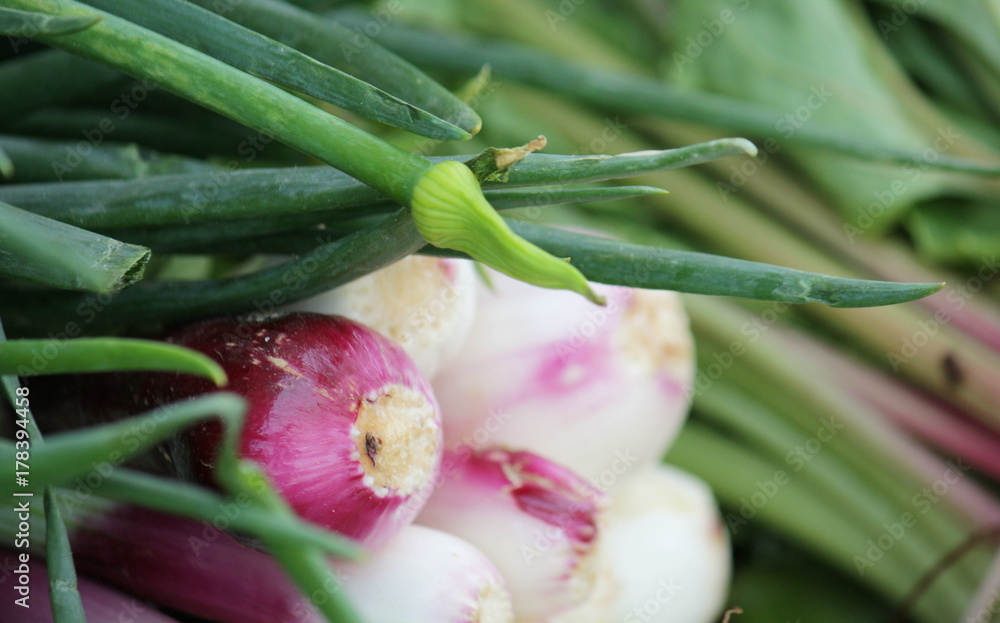 Chive and Onion Chive and Onion
