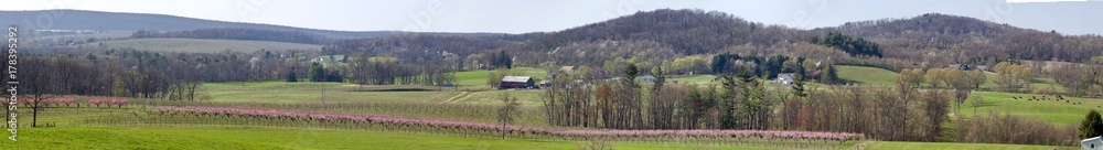 Rural Springtime