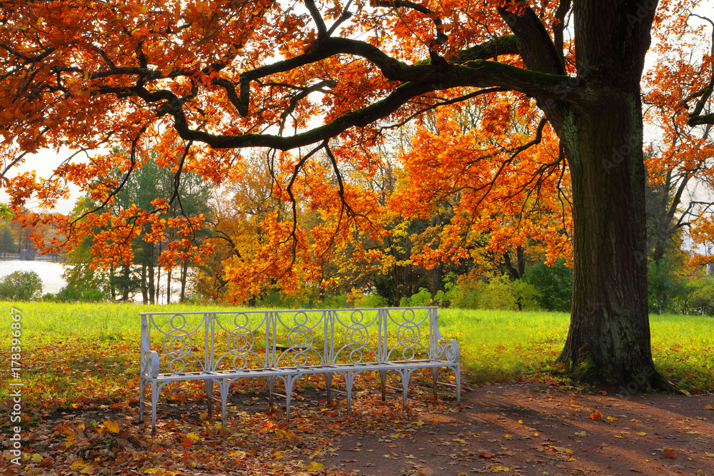 Autumn in the Catherine Park in Pushkin Autumn in the Catherine Park in Pushkin