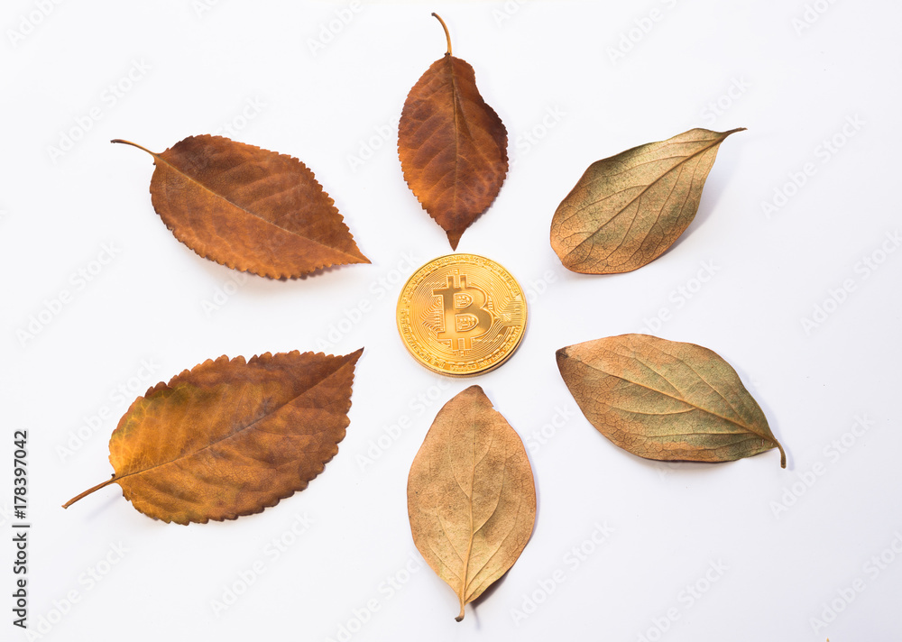 Virtual Coin Bitcoin and autumn leaves around it on white