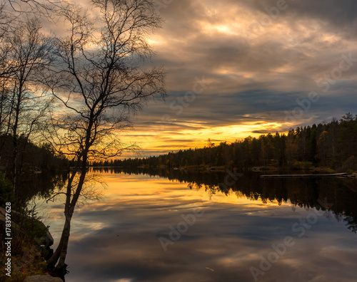 Forest reflection in lake  Norway