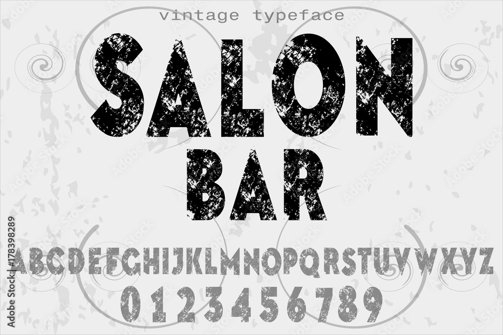 Font Hand drawn vector script ornaments calligraphic Alphabet typeface