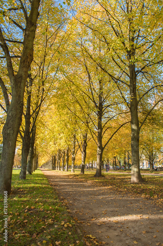 Stadt Park Allee in Herbstfarben im Herbst