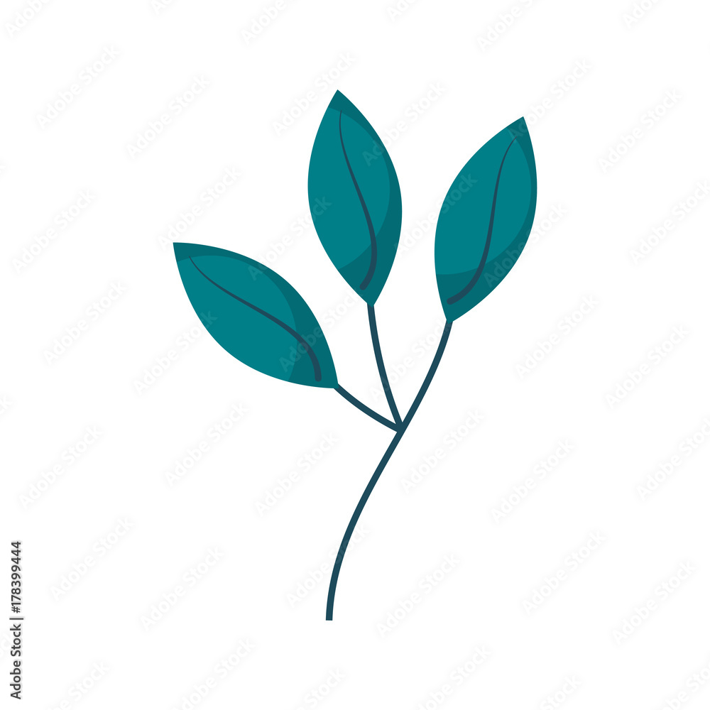 branch plant with leaves natural foliage garden branch plant with leaves natural foliage garden