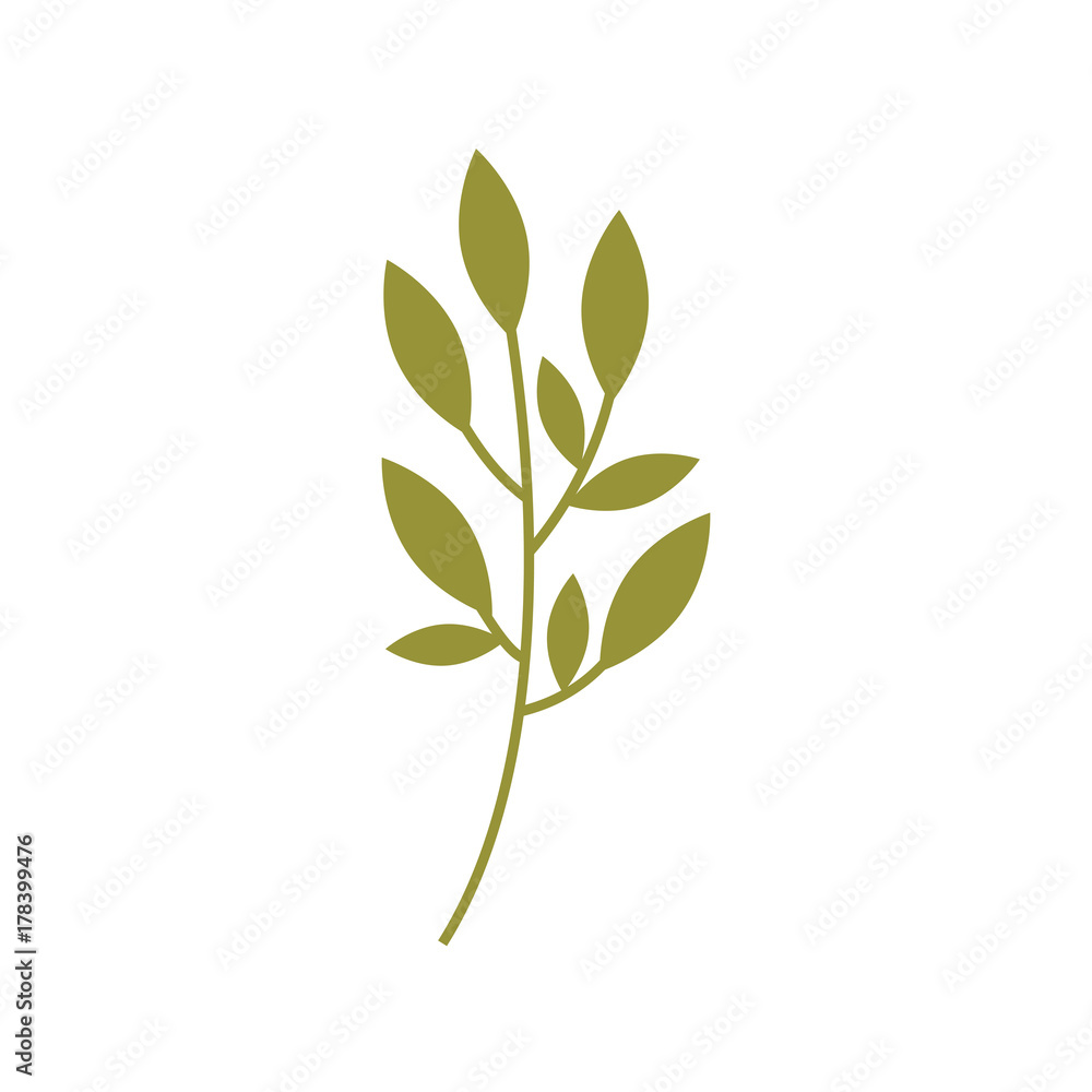 branch plant with leaves natural foliage garden branch plant with leaves natural foliage garden